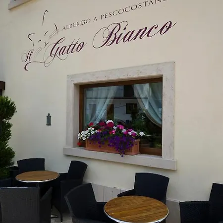 Il Gatto Bianco فندق
